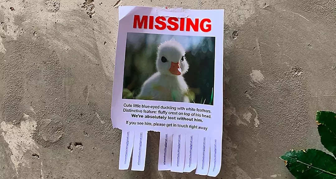 1604288718154602.jpg 6.jpg