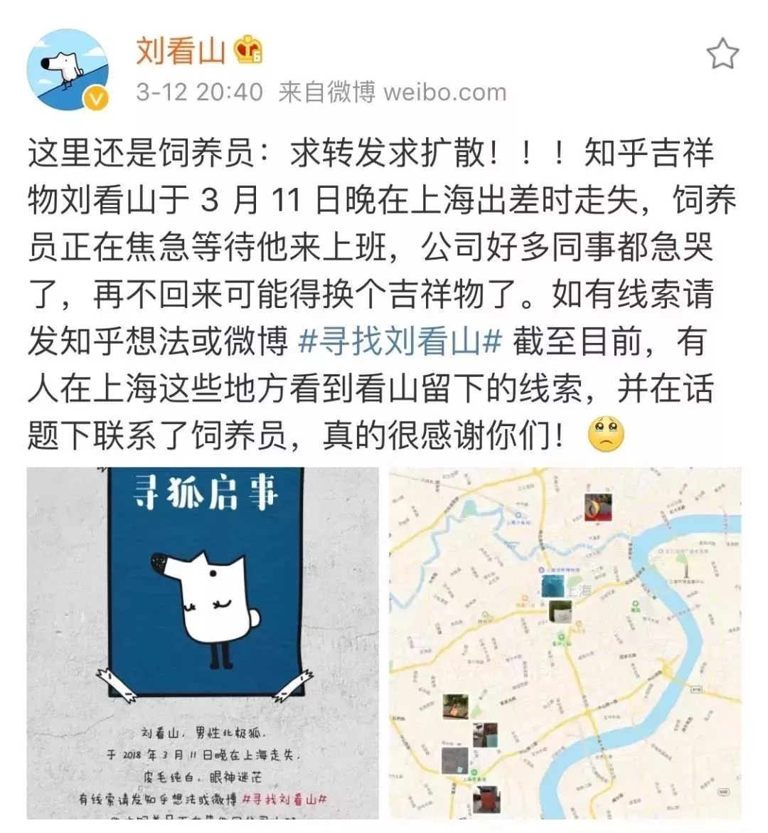 1604289005680419.jpg 13.jpg